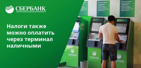 Налоги можно оплачивать не только через банкомат Сбербанка, но и в режиме онлайн, через терминал